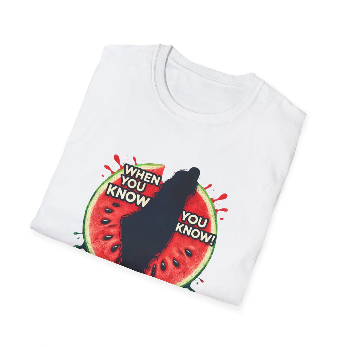 Unisex Softstyle T-Shirt - Palestine watermelon